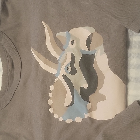 4T Longsleeve lot (Carters/Gap) - Picture 3 of 4